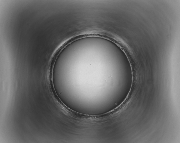 X0000116331216200912011126