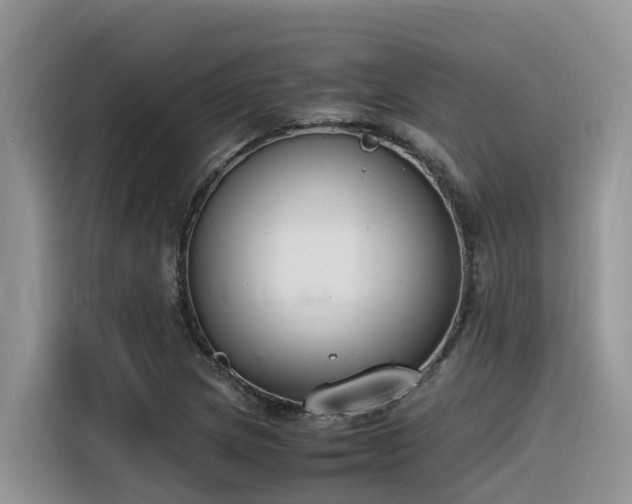 X0000116331217200912011126