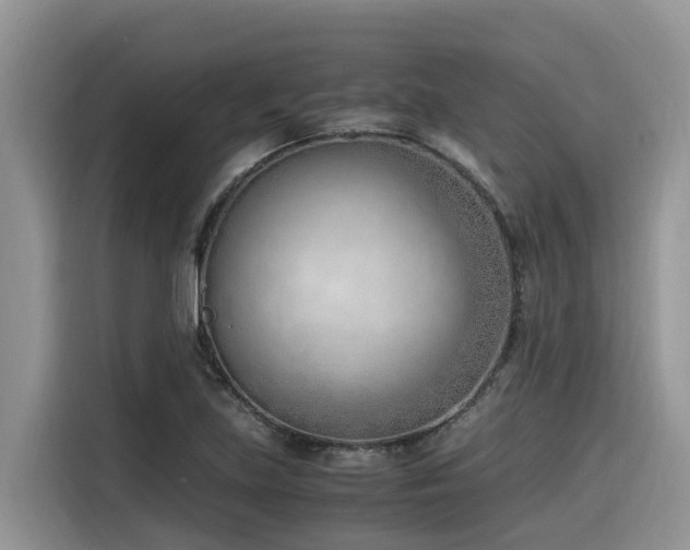 X0000116331219200912011126