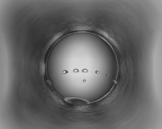 X0000116331221200912011126