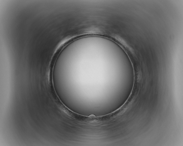 X0000116331222200912011126