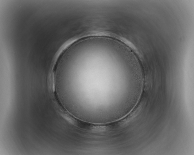 X0000116331223200912011126