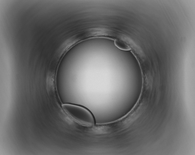 X0000116331225200912011126