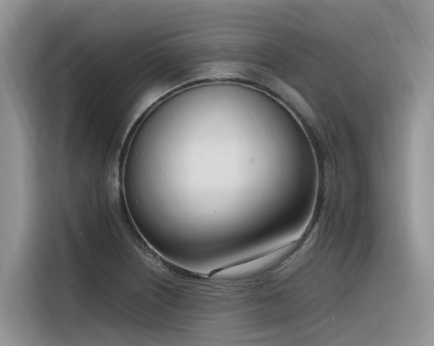 X0000116331226200912011126