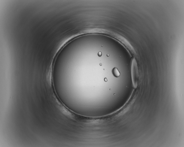 X0000116331228200912011126