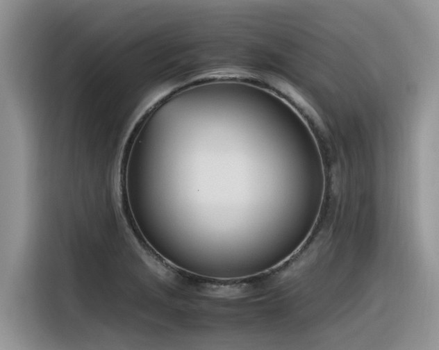 X0000116331229200912011126