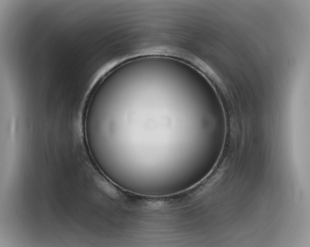 X0000116331230200912011126