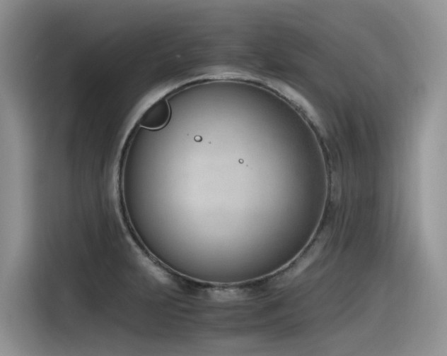 X0000116331231200912011126