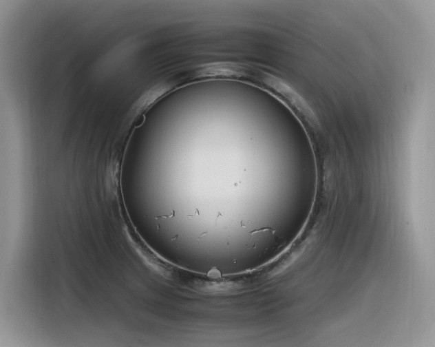 X0000116331233200912011126