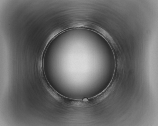 X0000116331234200912011126