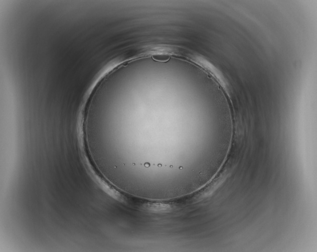 X0000116331235200912011126