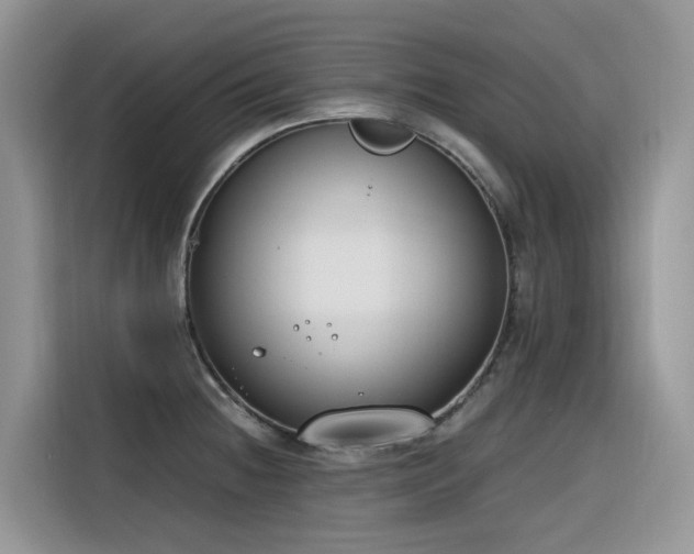 X0000116331236200912011126