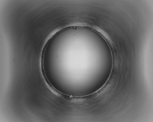X0000116331237200912011126