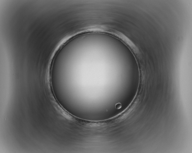 X0000116331240200912011126