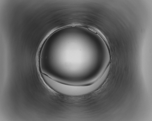X0000116331243200912011126