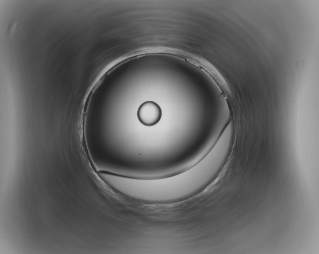 X0000116331244200912011126