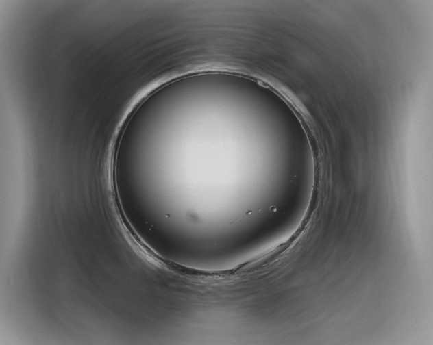 X0000116331246200912011126
