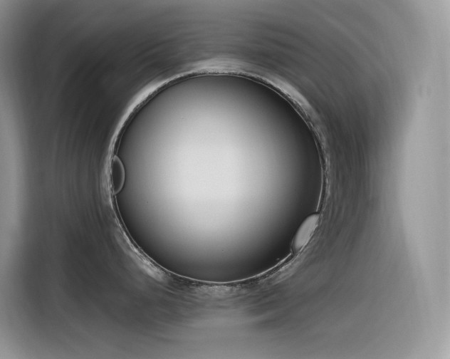 X0000116331248200912011126