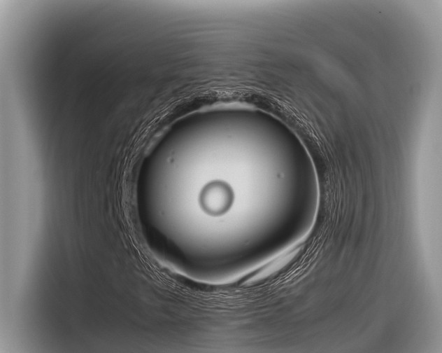 X0000116331249200912011125