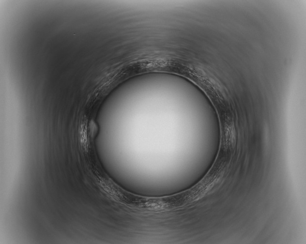 X0000116331250200912011125