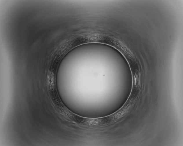 X0000116331251200912011125