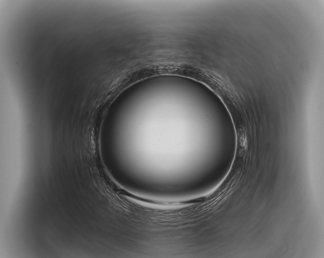 X0000116331252200912011125