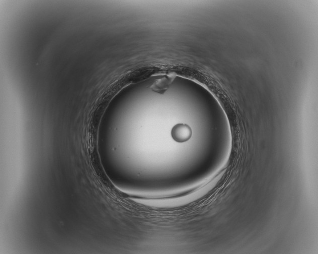 X0000116331253200912011125