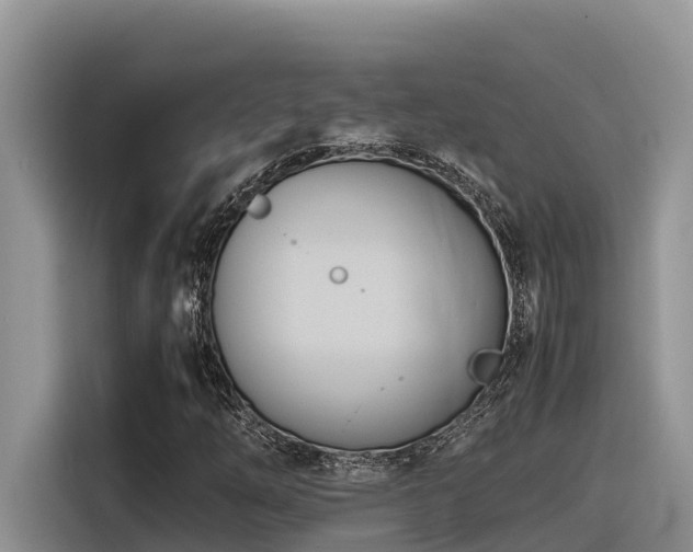 X0000116331254200912011125