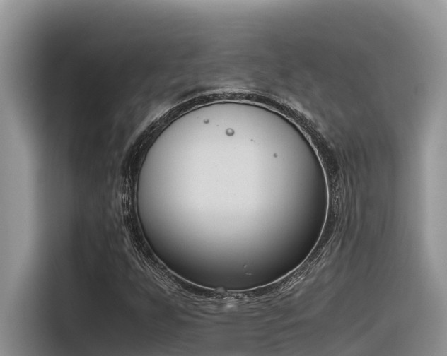 X0000116331255200912011125