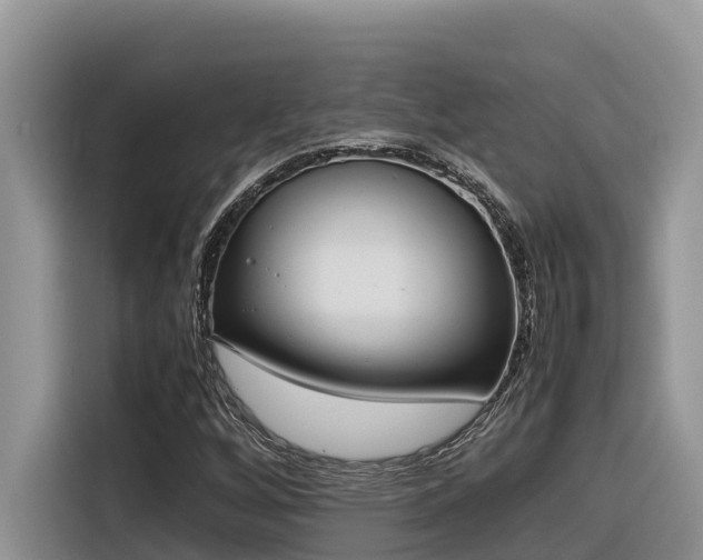 X0000116331256200912011125