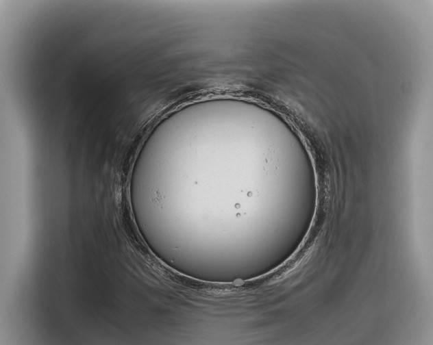 X0000116331257200912011125