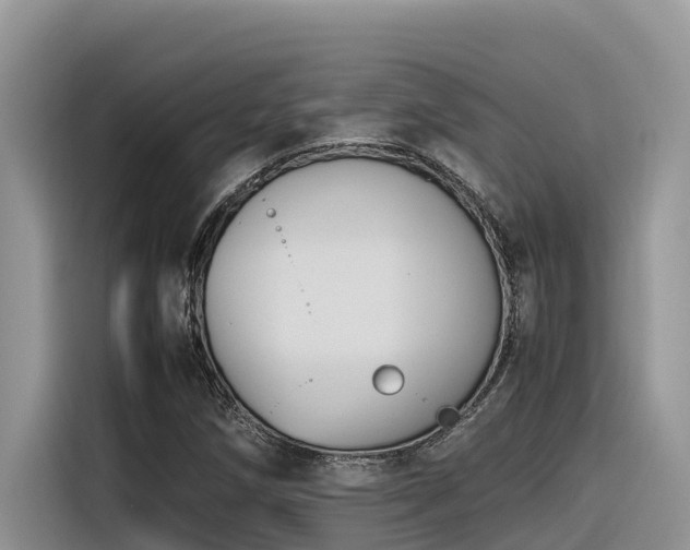 X0000116331258200912011125