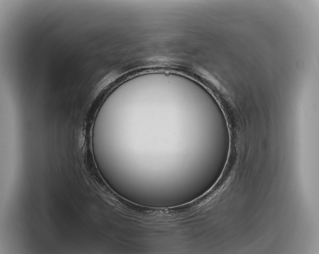X0000116331259200912011125