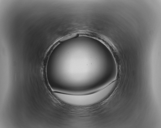 X0000116331260200912011125