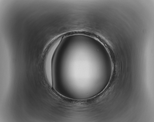 X0000116331262200912011125