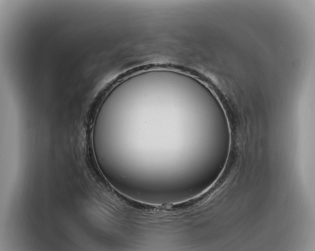 X0000116331263200912011125