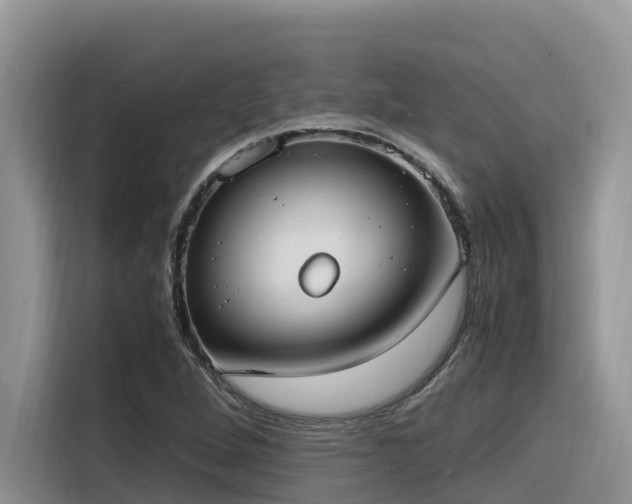X0000116331264200912011125