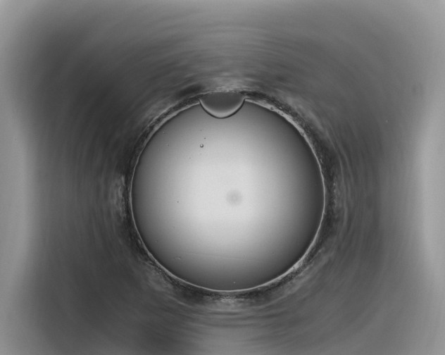 X0000116331265200912011125