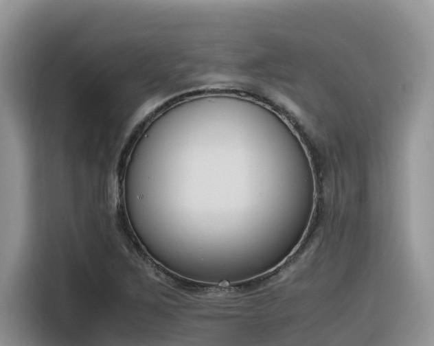 X0000116331267200912011125