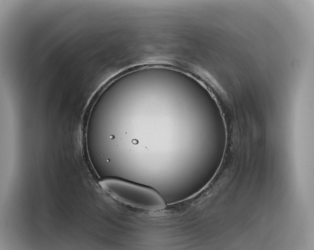 X0000116331268200912011125