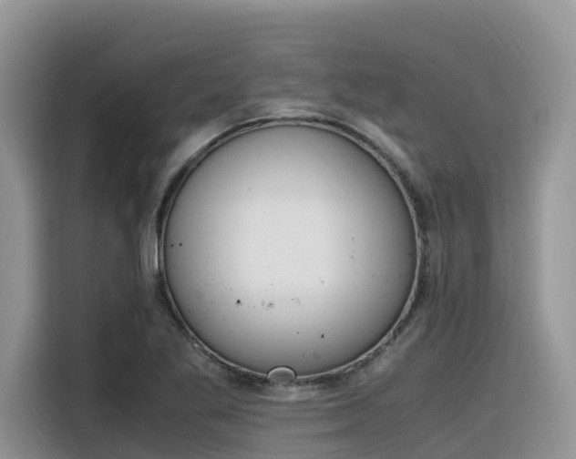 X0000116331269200912011125