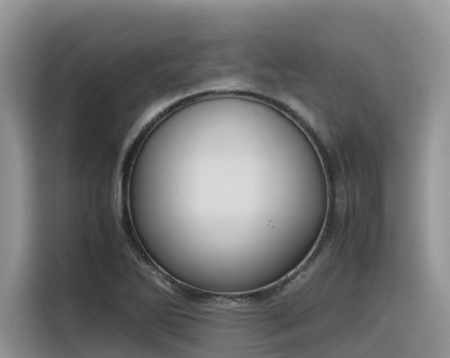X0000116331270200912011125