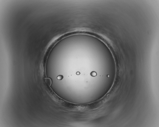X0000116331271200912011125