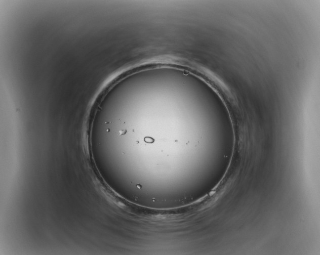 X0000116331272200912011125