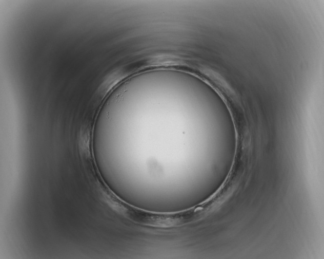 X0000116331273200912011125