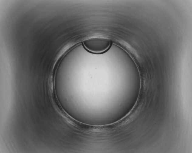 X0000116331274200912011125