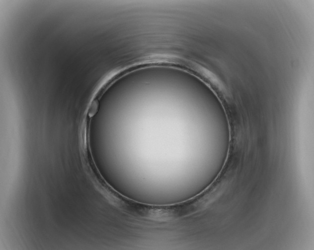 X0000116331275200912011125