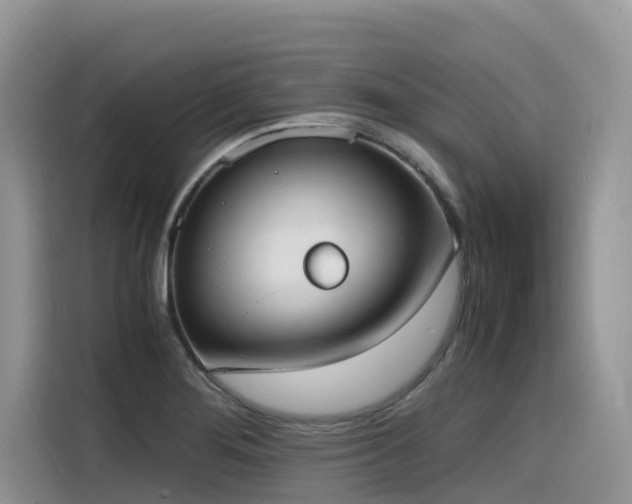 X0000116331276200912011125