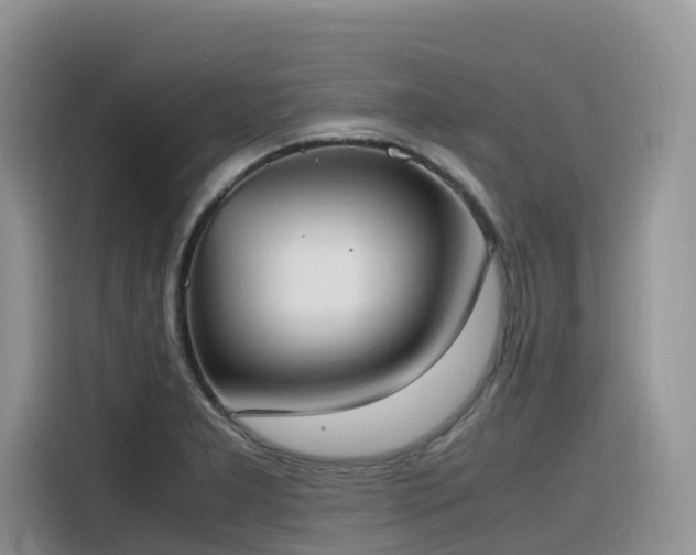 X0000116331277200912011125