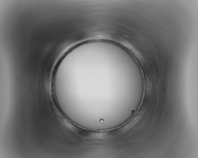 X0000116331278200912011125